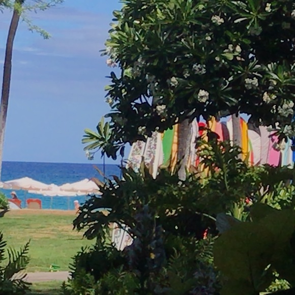 Meet your Posher, Aloha - Picture 1 of 2